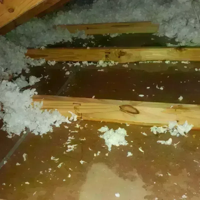 Attic Water Damage in Kettle Falls, WA